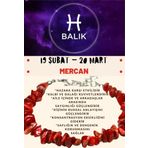 Sertifikalı Burç Taşı Balık Burcu Mercan Taşı Bileklik