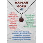 Sertifikalı Kaplan Gözü Doğal Taş Kolye 20mm Zincir Hediyeli