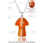 Sertifikalı Mantar Model Karnelyan Akik Taşı Kolye - Gümüş Aparatlı