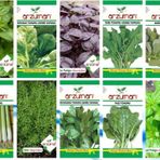 SERTİFİKALI YERLİ 10 ÇEŞİT YEŞİLLİK TOHUM SETİ-2 (SOLUCAN GÜBRESİ HEDİYE)