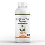 Servi Uçucu Yağı Cupressus sempervirens 1 kg