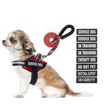 Servis Köpek Yelek Koşum Takımı ve Tasma Seti, Animire Eğitimde Köpek Koşum Takımı, 8 Köpek Yamalı, Küçük, Orta, Büyük ve Ekstra Büyük Köpekler için Yumuşak Dolgulu Saplı Yansıtıcı Köpek Tasması