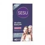 Sesu Agda Bandi 40'Li Maxi Set Hassas