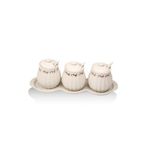 SETABIANCA Kitchen Baharatlik Tabakli 31x5x11x11 cm 3Lü