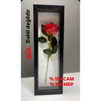 Sevcan sanat atölyesi 13x40x3 CAM lı gül kutusu sevgililer günü hediyesi anı çerçevesi