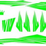 Sevenkardeşler Cup Florasan Yeşil Sticker Seti
