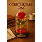 Sevgiliye Eşe Öğretmenler Gününe Anlam Katan Özel Fanusta Led Işıklı Canım Öğretmenim Hediye Biblosu Vitrin