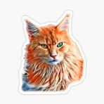 Sevimli Kedi Araba Oto Sticker Etiket Renkli V1