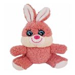 Sevimli Peluş Tavşan
