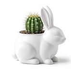 Sevimli Tavşan Figürlü Dekoratif Saksı ve Vazo - Modern Sukulent ve Kaktüs Çiçekliği, Estetik Masaüstü Objesi, Paskalya Temalı Ev Dekoru,Tavşan Küçük Vazo Rabbit Flower Pot – Unique Vase & Decor