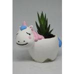 Sevimli Unicorn Saksı + Sukulent Bitki