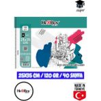 Seyfi Kırtasiye 25X35 cm Eskiz Kara Kalem Çizim Defteri 120 gr Telli 40 Sayfa Herboy - Beyaz