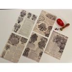 Sf Scrapbook Vintage, Bitki, Çiçek Kağıt Journal Set, Scrapbook, Scrapbooking, Galeri Duvarı, Sanatsal Baskı - ÇİÇEK2