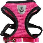 Shanhua Shop Gül Kırmızı Stili M Beden Askı Tarzı Kedi Yaka Kurşun Köpek Leaen Koşum Seresto Evcil Hayvan Aksesuarları Köpek Tasması Kedi Koşum Kediler Için Pet Seresto (Yurt Dışından) - Beyaz - Standart