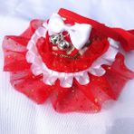 Shanhua Shop Kırmızı 1 Stil Xs Beden Kiraz Önlüğü Dantel Dekor Pet Yaka Önlük Sevimli Bandana Önlükler Köpek Yaka Kedi Eşarp Pet Kolye Kravat Papyon Köpek Düğün Aksesuarları (Yurt Dışından) - Beyaz - Standart