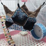 Shanhua Shop Mavi Stil Asma Uyku Sıcak Peluş Kuş Hamster Tavşan Evi Oyuncak Gelincik Yuva Yatak Küçük Pet Hamak Asılı Kafes Kedi Sincap Baskı Sevimli (Yurt Dışından)