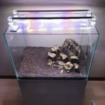 Shark Akvaryum Aydınlatma 3 Renk Grolüx Bar LED 80 cm