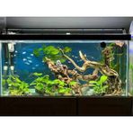 Shark Akvaryum Aydinlatma 4 Sira Osram Marka Ledli 566770147