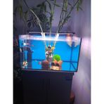 Shark Akvaryum Aydınlatma 55 cm 2 Sıra Osram Ledli (60-65 cm Akvaryumlar için Uygun-1650 lümen)