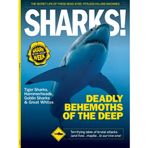 Shark Week - Deadly Behemoths Of The Deep, Terrifying Tales Of Brutal Attacks, How To Survive, Anatomy, Blood In The Water, Secrets, Tiger Sharks, Hammerheads, Goblin Sharks, Great Whites & More!