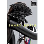 Shary Boyle: Music for Silence by Josee Drouin-Brisebois, Louise Dery (2013) Paperback