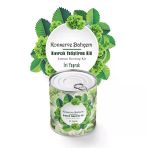 Shc42® Konserve Bahçem Evde Konservede İri Yapraklı Kıvırcık Yetiştirme Kiti