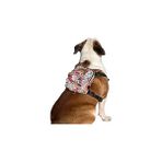 SHC4200 Design, Paws, Köpek Sırt Çantası – Çantalı Göğüs Tasması, Su Geçirmez, Ayarlanabilir Kayışlar, Ferm