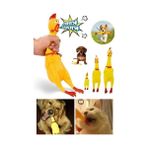 SHC4200 Ses Çıkaran Tavuk Kedi Köpek Oyuncağı