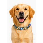 She Sells El Yapımı Boncuklu Ayarlanabilir Köpek Kolyesi – Nazar Boncuklu Kot Uzatmalı 40–50 cm