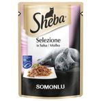 Sheba Pouch 85 gr Sos İçinde Somon Balıklı Yetişkin Kedi Konservesi