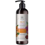 Sheida Active Shine Canlandırıcı Argan Yağı ve Yaban Gülü Bitki Özlü 500 ml Duş Jeli