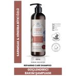 Sheida Active Shine Sarımsak ve Hindiba 500 ml Şampuan