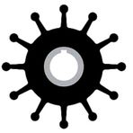 Sherwood 10077K Impeller Lastiği