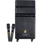 Shıle SL-1612B Iki El Mikrofonlu Kumandalı Usb+Sd+Bt+Fm Taşınabilir Hoparlör - Renkli