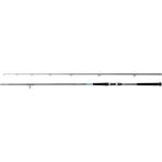 Shimano Kamış Bassterra Xt Shore Jigging 10'0" 30-100G - Standart - Renkli