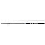Shimano Kamış Bassterra XT Shore Jigging 10'0" 30-100g
