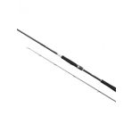 Shimano Moonshot Spinning Inshore 2.90M Plug 10-52G Jig Max 60G Kamış