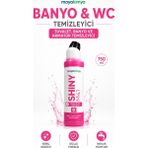 Shiny M41 Tuvalet Banyo ve Armatür Temizleyici - 750 ml