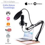 Shipment Profesyonel USB Kondansatör Mikrofon Seti Ayarlanabilir Kol Stand Podcast Youtube Karaoke Stüdyo - Siyah
