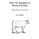 Shit I've Stepped in Along the Way: Little Life Lessons for You