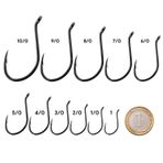 Shogun 9950 Octopus Beak İğne
