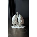 shop 3D Baskı Anatomi Modeli: Akciğer ve Solunum Yolları