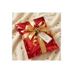 shopExxtra 17x25 Cm KIRMIZI 10 Adet Yapışkanlı Metalize Hediye Poşeti ,hedye Ambalaj Paketi