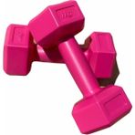 Shophangar Fuşya Pembe Plastik Köşeli 1kg 2 Adet Mini Plates Fitness Seti Mini Dambıl Seti