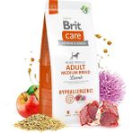Shopwave Brit Care Hypoallergenic Kuru Maması, Yetişkin Orta Irk, 3 kg - 0,035 gr
