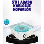 Shopwave Dekoratif Gece Işıklı Bluetooth Hoparlör – Zaman ve Pil Ekranlı