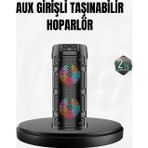 Shopwave Kablosuz Stereo Hoparlör USB + SD Kart + AUX Destekli Bluetooth 5.0
