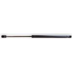 Shopwave VASS41 Arka Bagaj Kapağı Amortisörü Pistonu 1150277 Ford Focus 1 Hb 1998-2004 - 0 - Siyah