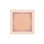 Show By Pastel No: 101 Purity Pudra