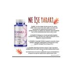 Siberian Wellness Siberian Wellnes Formula 4 N.v.m.n Gıda Takviyesi